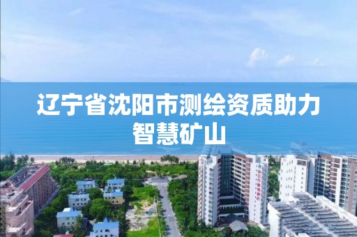 遼寧省沈陽市測繪資質助力智慧礦山