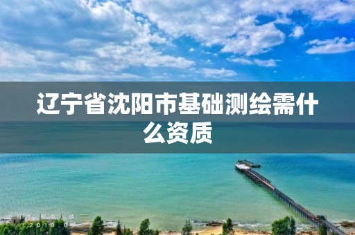 遼寧省沈陽市基礎測繪需什么資質