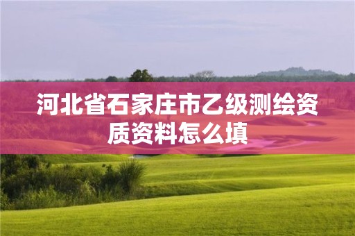 河北省石家莊市乙級測繪資質(zhì)資料怎么填