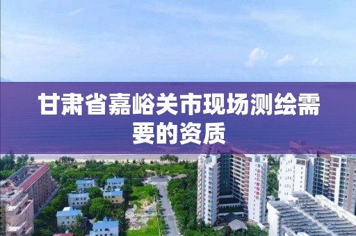 甘肅省嘉峪關市現場測繪需要的資質