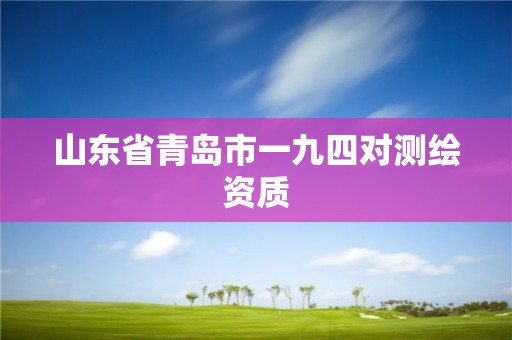 山東省青島市一九四對測繪資質