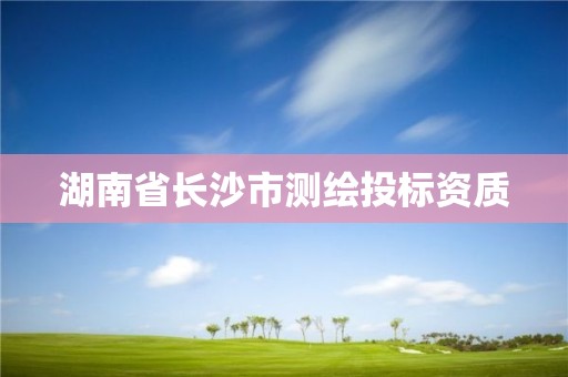 湖南省長沙市測繪投標資質