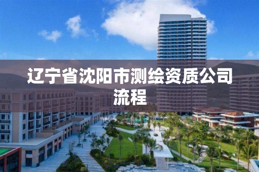 遼寧省沈陽市測繪資質公司流程