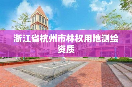 浙江省杭州市林權用地測繪資質