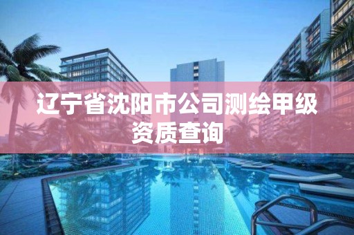 遼寧省沈陽市公司測繪甲級資質查詢