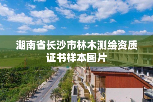 湖南省長沙市林木測繪資質證書樣本圖片