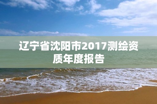 遼寧省沈陽市2017測繪資質年度報告