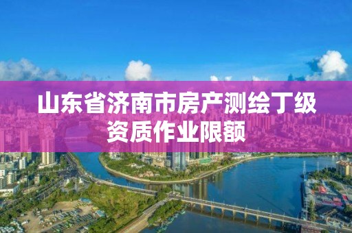 山東省濟南市房產測繪丁級資質作業限額