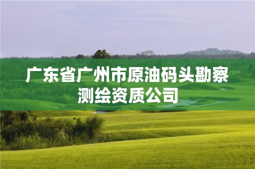 廣東省廣州市原油碼頭勘察測(cè)繪資質(zhì)公司