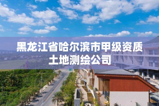 黑龍江省哈爾濱市甲級資質(zhì)土地測繪公司