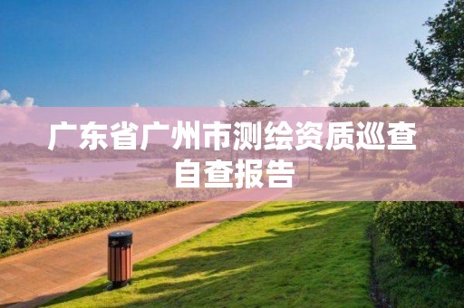 廣東省廣州市測繪資質巡查自查報告