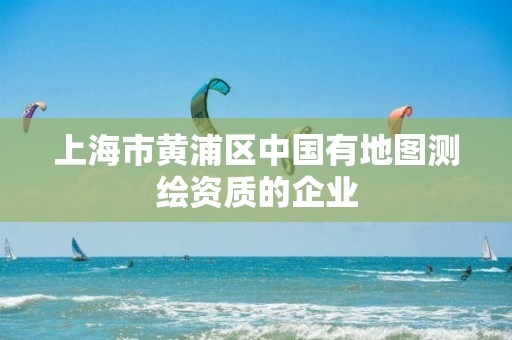 上海市黃浦區(qū)中國有地圖測(cè)繪資質(zhì)的企業(yè)