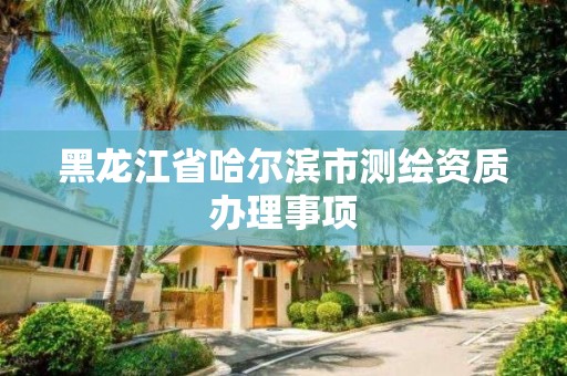 黑龍江省哈爾濱市測繪資質辦理事項