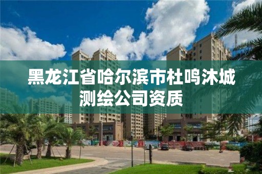 黑龍江省哈爾濱市杜鳴沐城測繪公司資質