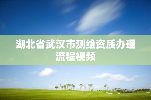 湖北省武漢市測繪資質辦理流程視頻