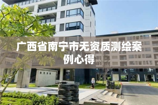 廣西省南寧市無資質測繪案例心得