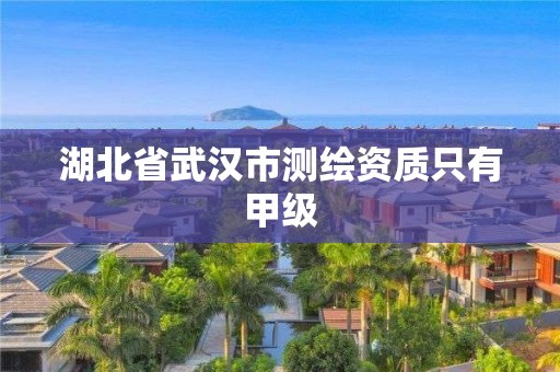 湖北省武漢市測繪資質只有甲級