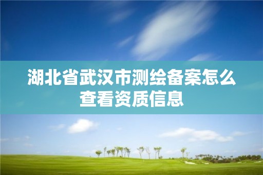 湖北省武漢市測繪備案怎么查看資質信息