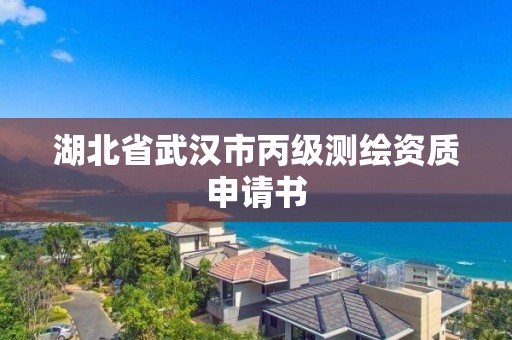 湖北省武漢市丙級測繪資質申請書