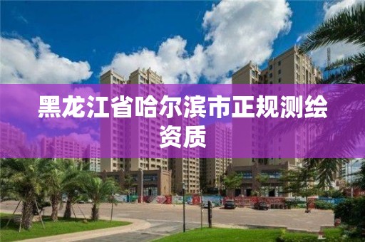 黑龍江省哈爾濱市正規測繪資質