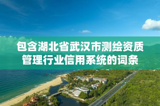 包含湖北省武漢市測繪資質管理行業信用系統的詞條