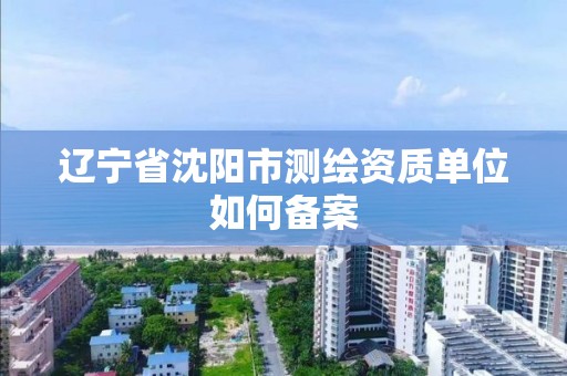 遼寧省沈陽市測繪資質單位如何備案