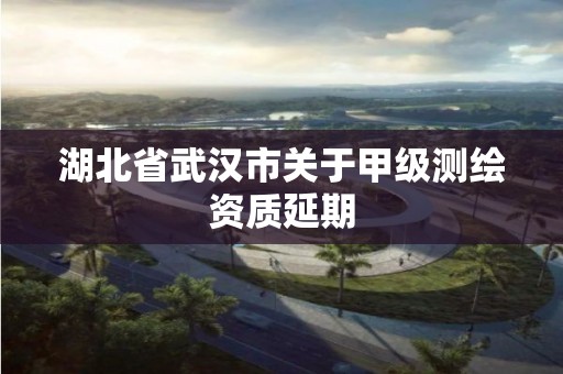 湖北省武漢市關于甲級測繪資質延期