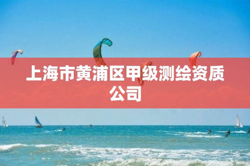 上海市黃浦區甲級測繪資質公司