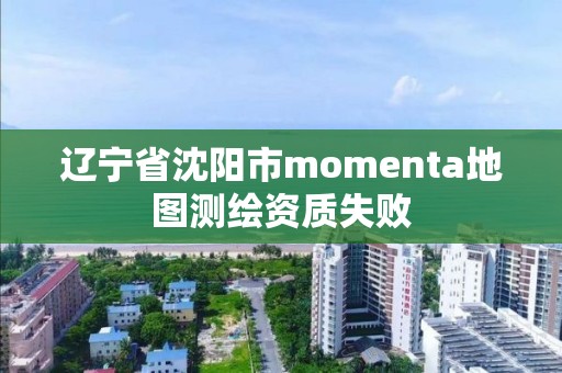 遼寧省沈陽(yáng)市momenta地圖測(cè)繪資質(zhì)失敗