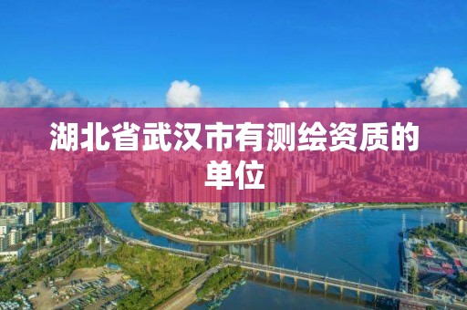 湖北省武漢市有測繪資質(zhì)的單位