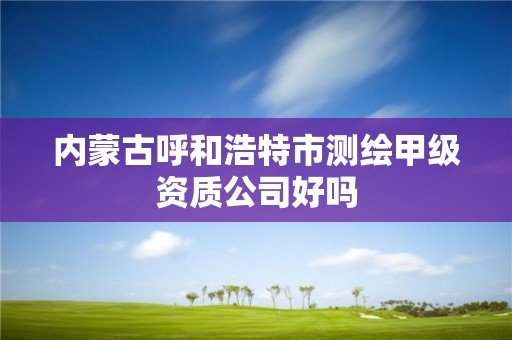 內蒙古呼和浩特市測繪甲級資質公司好嗎