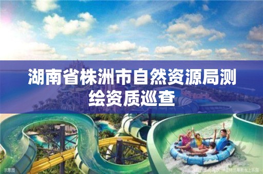 湖南省株洲市自然資源局測繪資質巡查