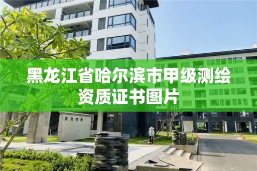 黑龍江省哈爾濱市甲級測繪資質證書圖片