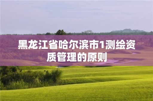 黑龍江省哈爾濱市1測繪資質管理的原則