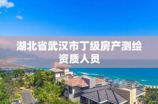 湖北省武漢市丁級房產測繪資質人員