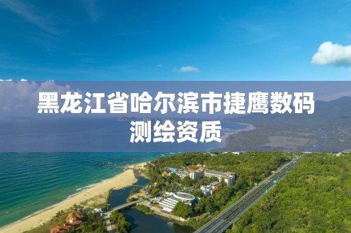 黑龍江省哈爾濱市捷鷹數(shù)碼測繪資質