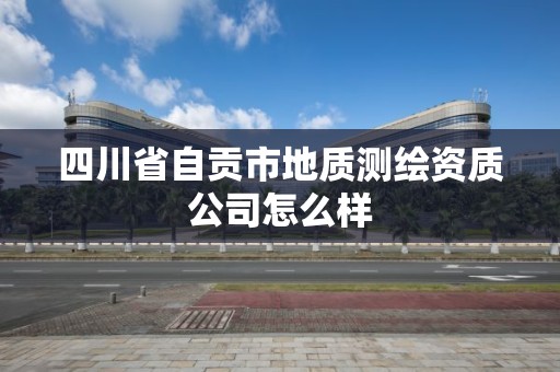 四川省自貢市地質測繪資質公司怎么樣