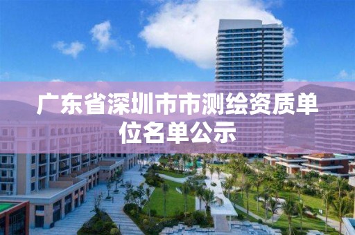 廣東省深圳市市測繪資質單位名單公示