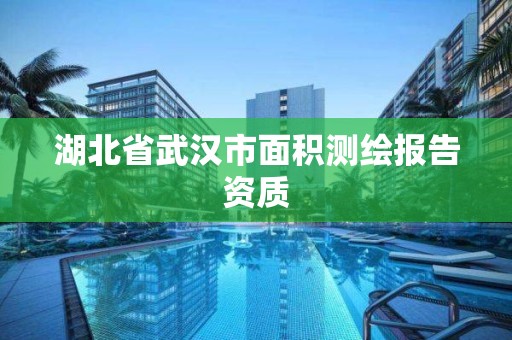 湖北省武漢市面積測繪報告資質