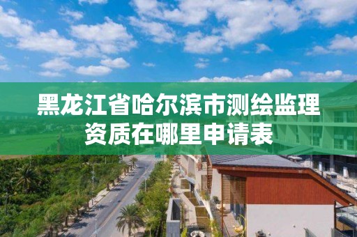 黑龍江省哈爾濱市測繪監理資質在哪里申請表