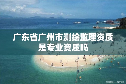 廣東省廣州市測繪監理資質是專業資質嗎