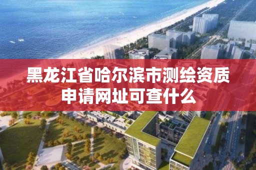 黑龍江省哈爾濱市測繪資質申請網址可查什么