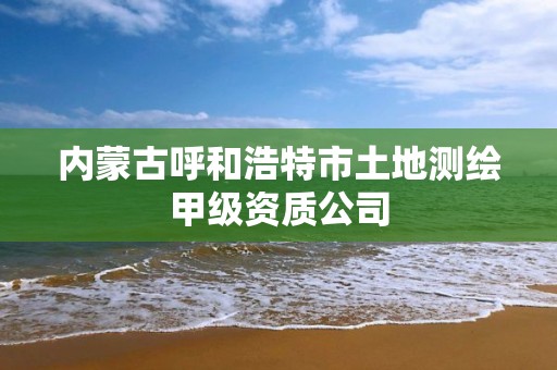 內蒙古呼和浩特市土地測繪甲級資質公司