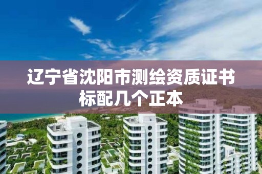 遼寧省沈陽市測繪資質證書標配幾個正本