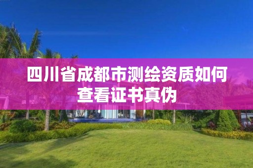 四川省成都市測繪資質如何查看證書真偽