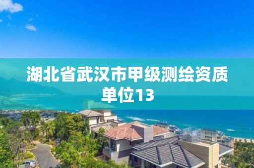 湖北省武漢市甲級測繪資質單位13