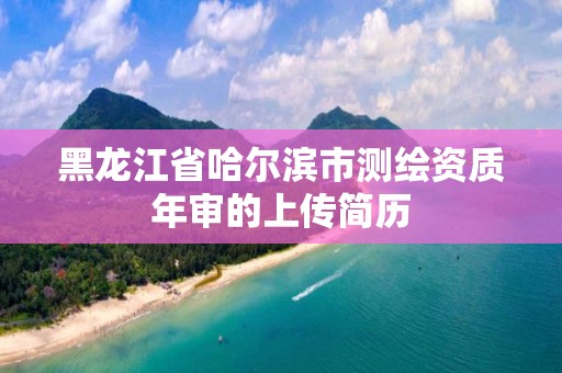 黑龍江省哈爾濱市測繪資質年審的上傳簡歷