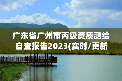 廣東省廣州市丙級資質測繪自查報告2023(實時/更新中)