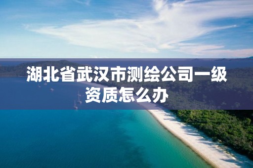 湖北省武漢市測繪公司一級資質怎么辦