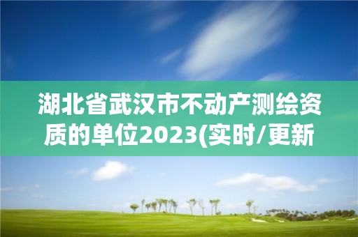 湖北省武漢市不動產測繪資質的單位2023(實時/更新中)